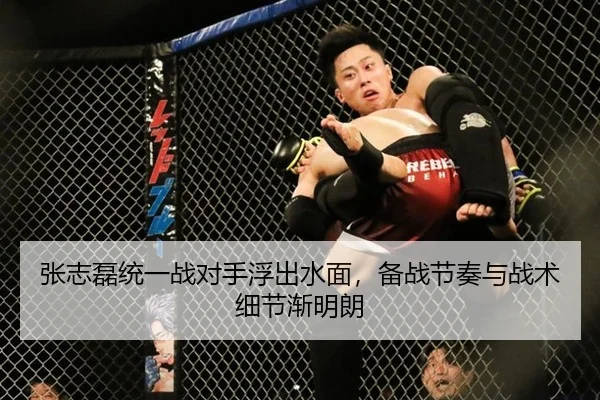 zhang-zhi-lei-tong-yi-zhan-dui-shou-fu-chu-shui-mian-bei-zhan-jie-zou-yu-zhan-shu-xi-jie-jian-ming-lang-2-898.jpg