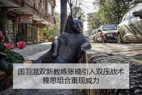 国羽混双新教练张楠引入双压战术 雅思组合重现威力